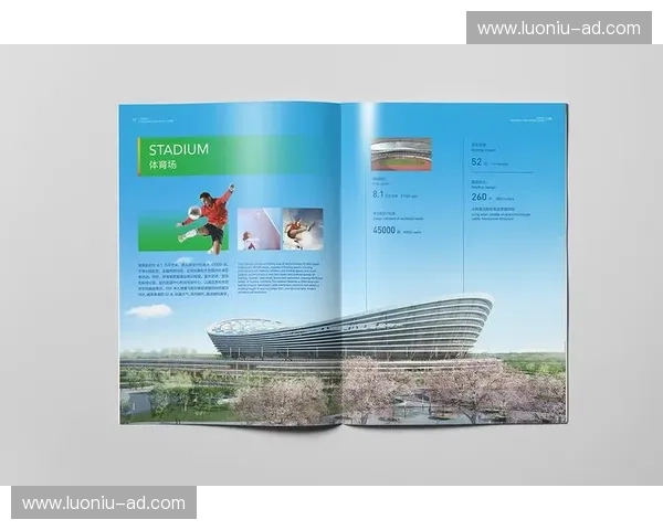 体育项目招商成本结构分析与优化策略研究