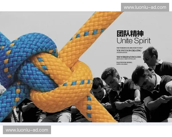 打造高效协作文化提升团队整体执行力与创新能力