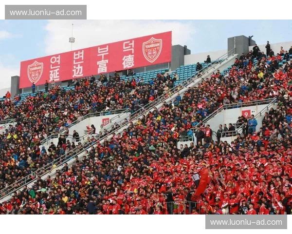 球迷组织力量汇聚共建精彩赛事互动社区新模式 球迷组织力量汇聚共建精彩赛事互动社区新模式