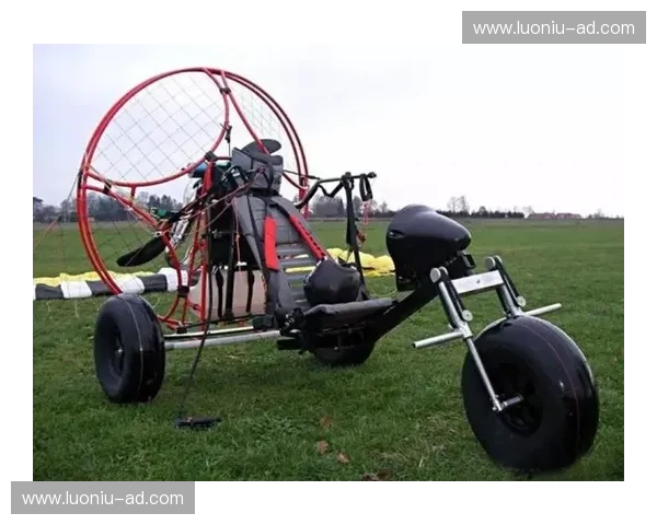 动力伞飞行体验与安全技巧全面解析带你领略低空自由之美探索指南 动力伞飞行体验与安全技巧全面解析带你领略低空自由之美探索指南