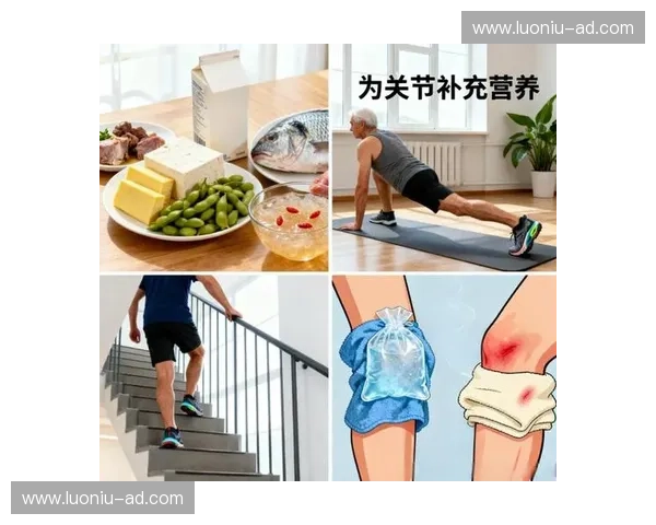 关节健康全面管理与日常维护科学方法指南